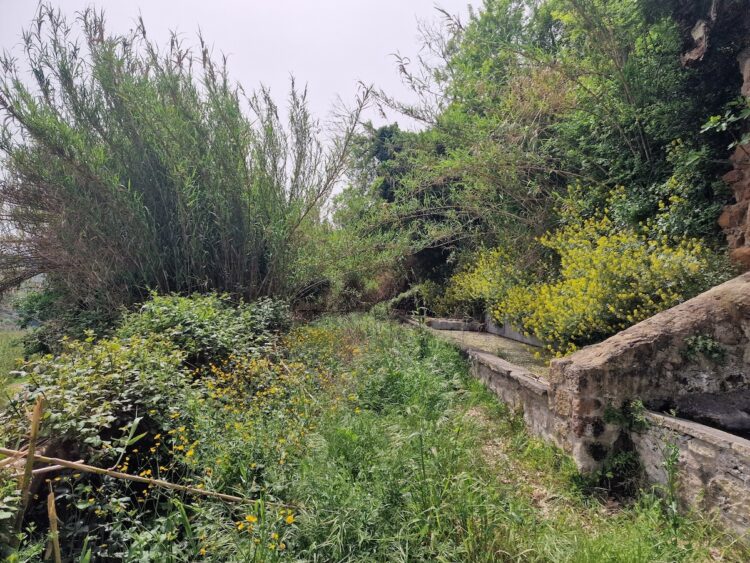 La Fontana del Leone dalla proprietà Basili